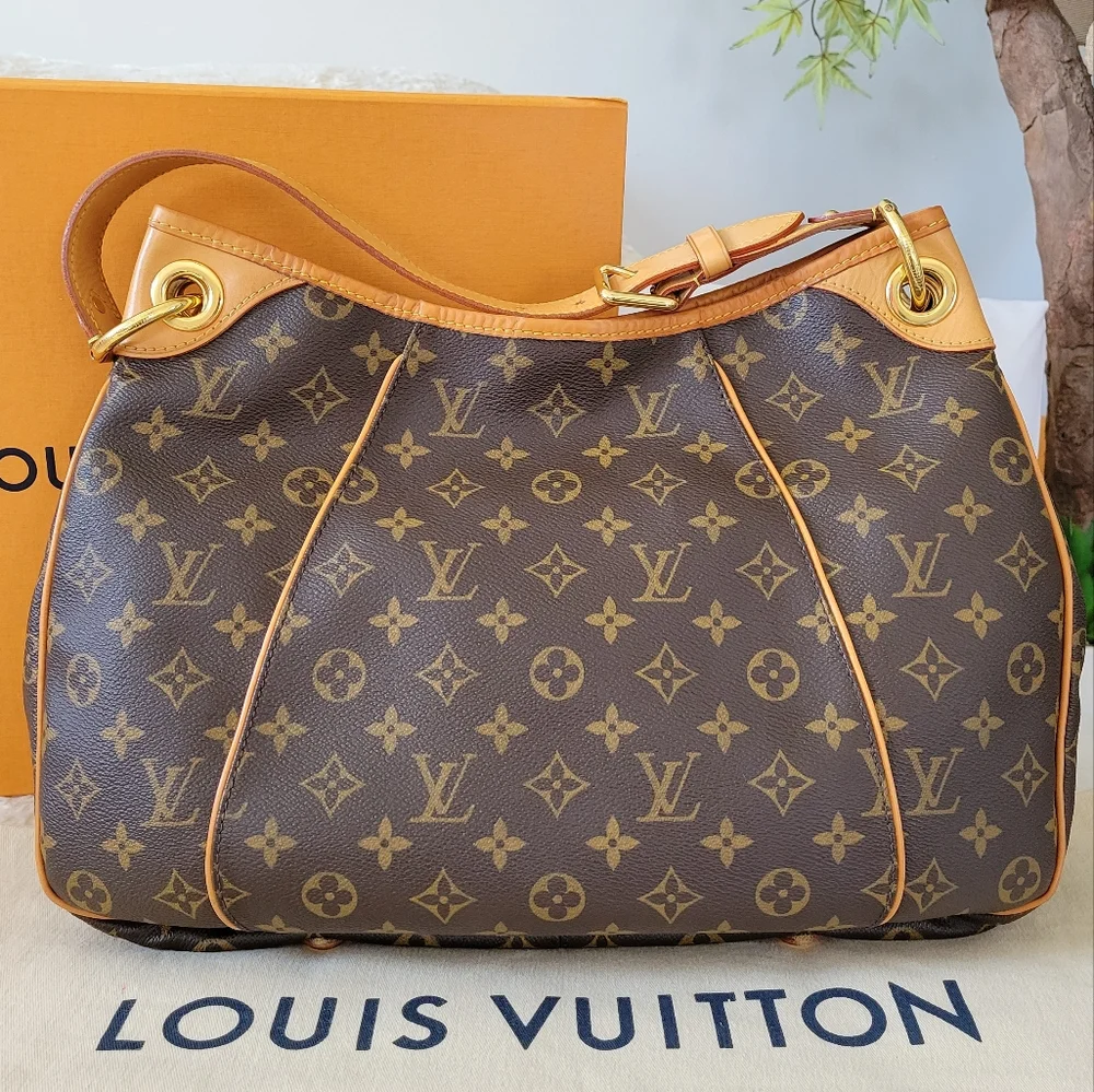 Louis Vuitton Monogram Canvas Hobo with Vachetta Leather Strap